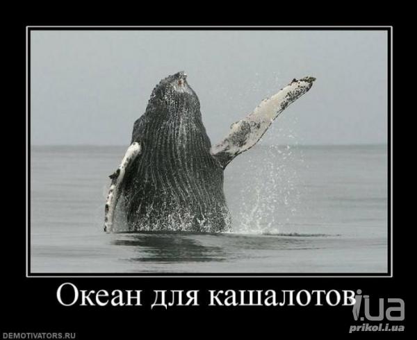 Русский white power культурист