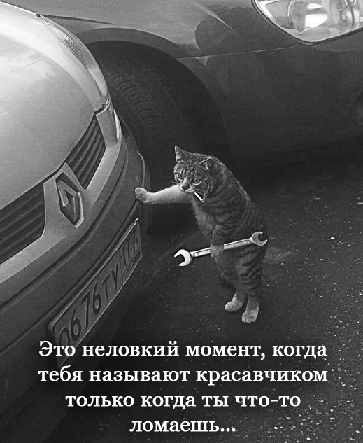 Прямая линия до Кащенко
