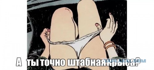 Герои на войне