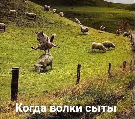 Баянисто-небаянистый юмор 15.05.21