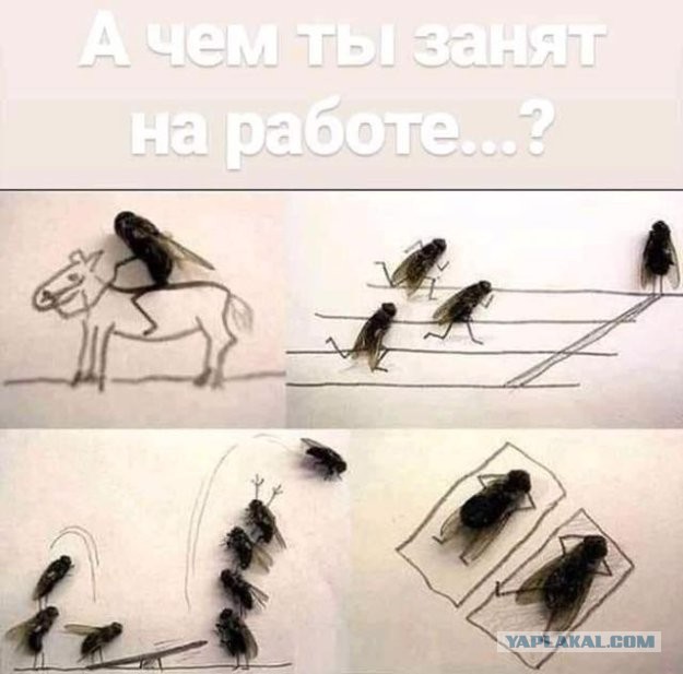 Так себе картинки 26.07.21