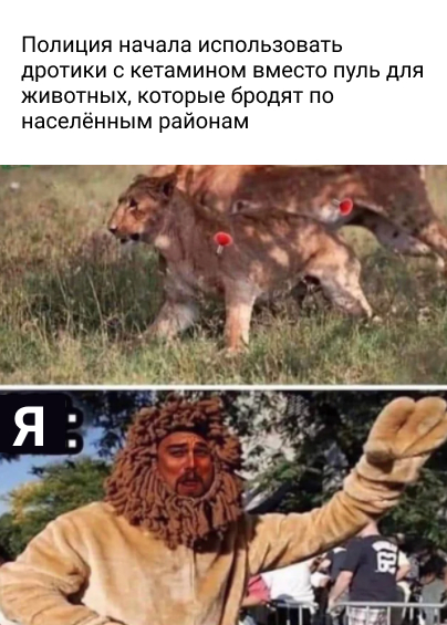 Картинки всякие 10.08.2021