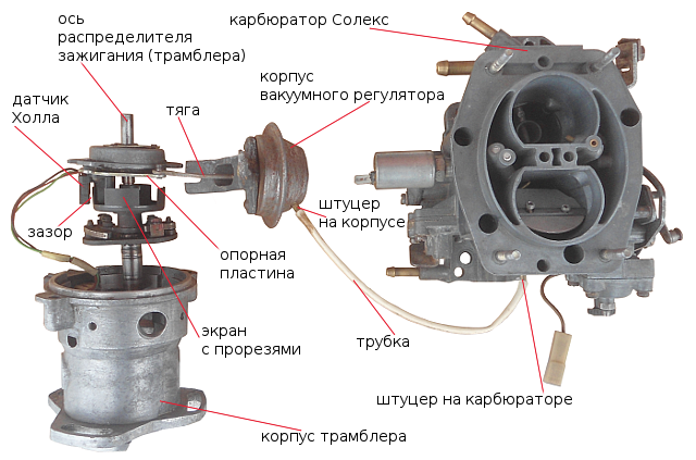 Прогрессивная молодёжь