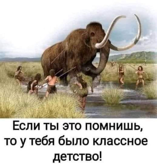 Всяческие картинки 15.12.2021