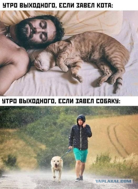 Всяческие картинки 12.01.2022