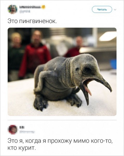 Фото-винегрет-4. Картинки ниапчём и обо всём