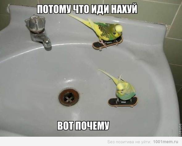 Почему все такие злые и нервные?