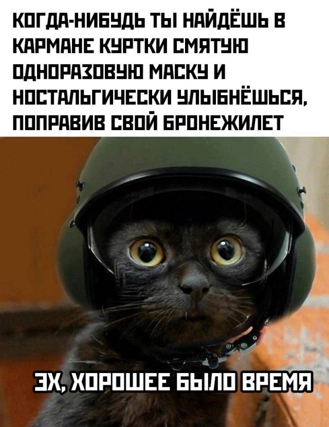 Яп развлекательный?