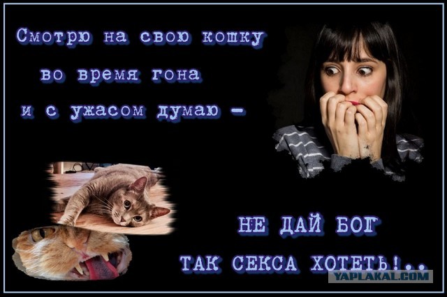 Тупые самцы совсем намеков не понимают