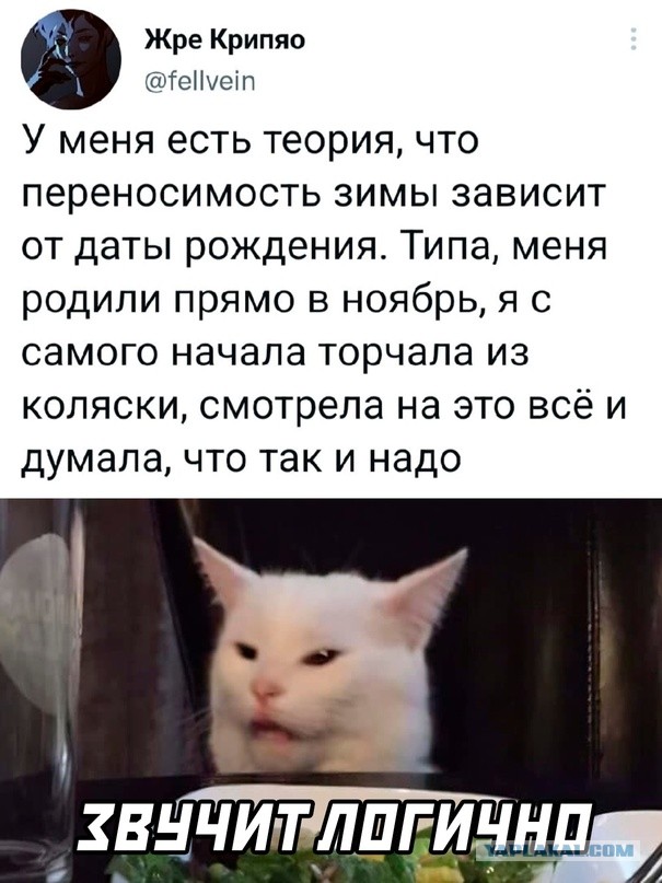 Картинки и мемы для настроения - 133