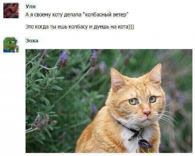 Немного картинок для настроения - 129