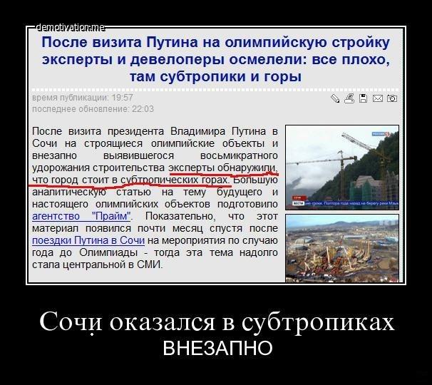 Вместо Олимпиады в Сочи
