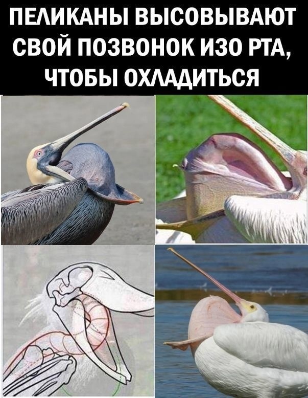 Так себе картинки 18.02.23