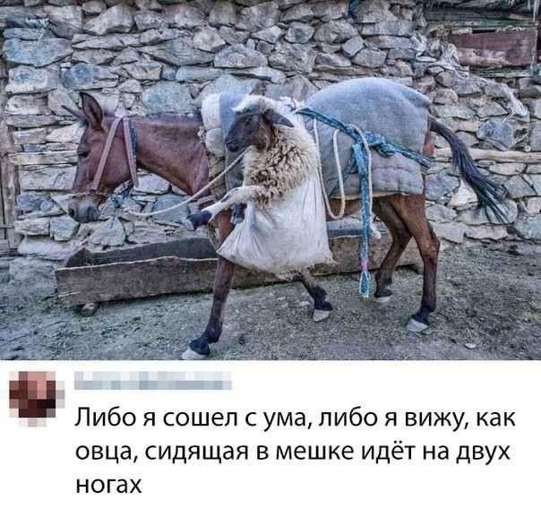 Всего понемногу. Новый выпуск.