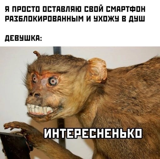 Нуштош 08.03.23
