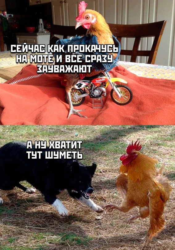 Картинки и мемы, всяко разно - 179