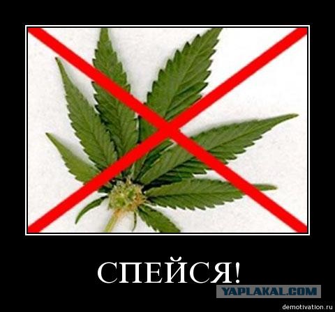Агитплакаты не для всех