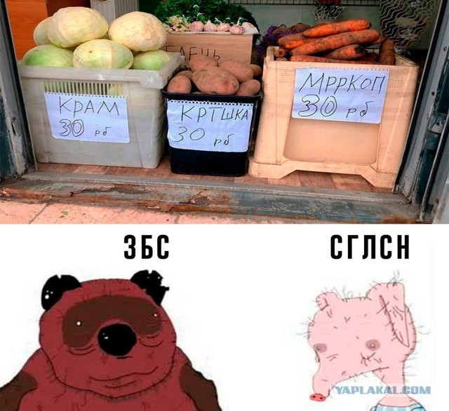 Сказка в жизни