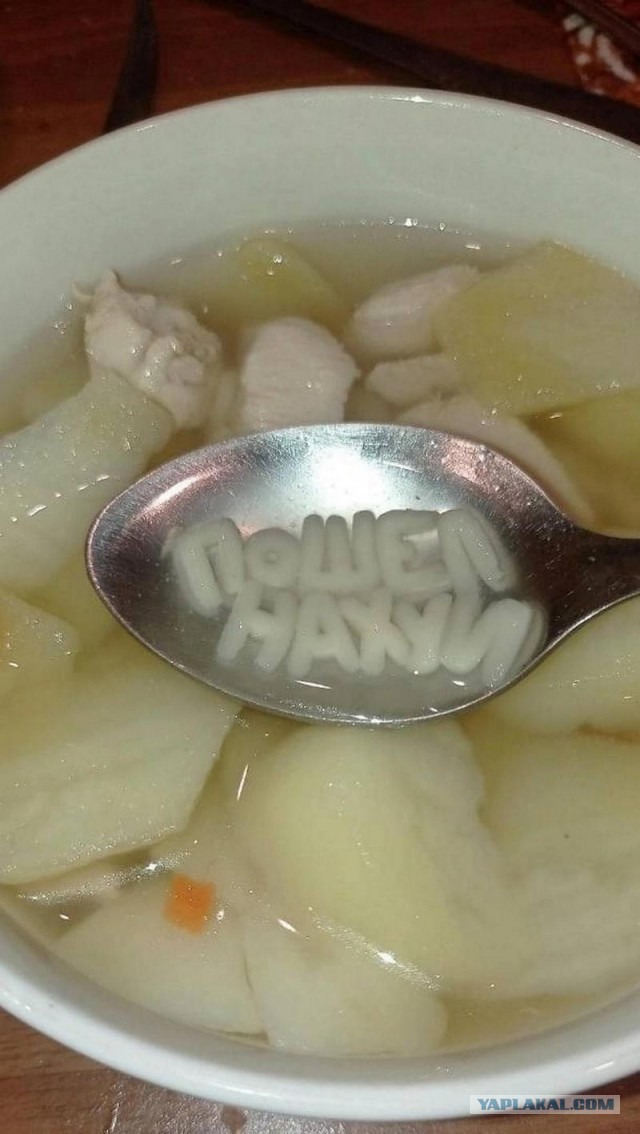 Шах и мат? Картинки разной степени глупости