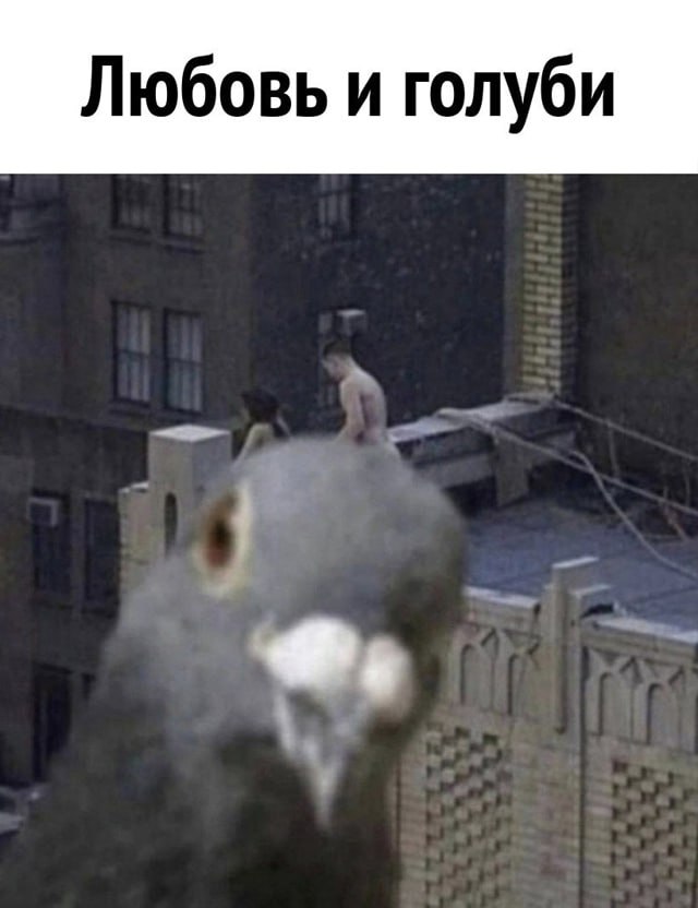 Никакие картинки