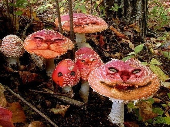 Немного наркомании и шизофрении в ленту. Часть 2