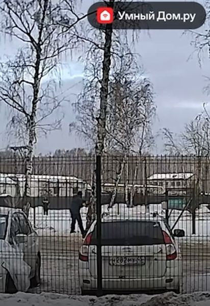 В Челябинске рабочие пытались убрать дерево, чтобы оно не упало на машины, но оно упало на машины