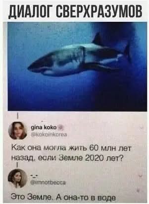 Весёлый полтишок 27.02.2025