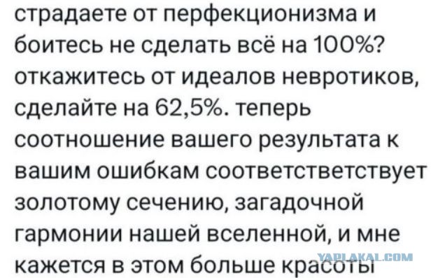 Весёлый полтишок 13.03.25