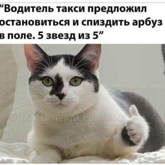 Так себе картинки 28.03.25