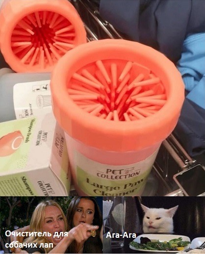 Знаменитый кот 2