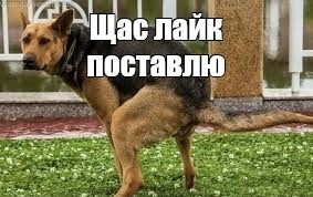 Я тоже за компьютером работать могу