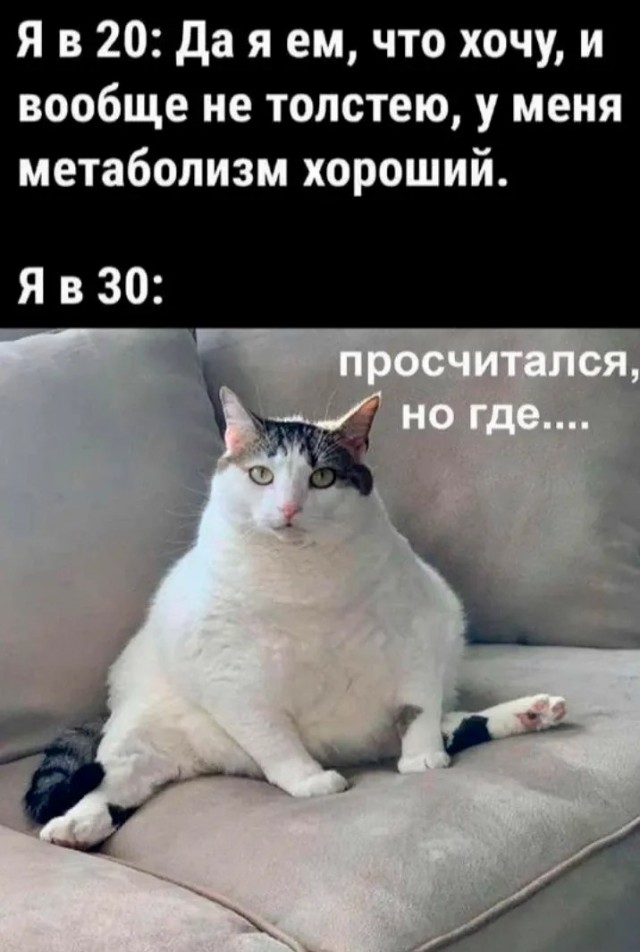 Ассорти картинок
