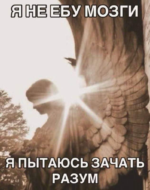 Нуштош. Имаджинирование умственного гуся (s5e5)