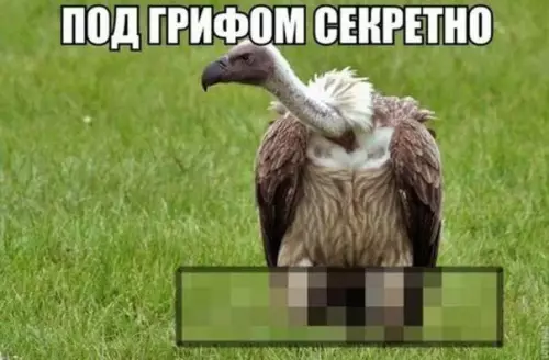 Картиночки, баянчики 21 февраля