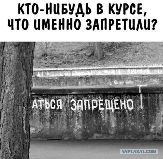 Картинки для деградации 193 (разной степени свежести)