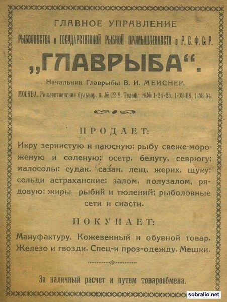 Если часто получать в голову, в ней появляются умные мысли....