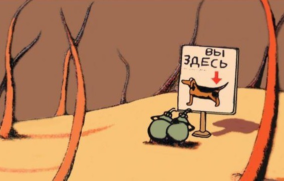 Мы здесь