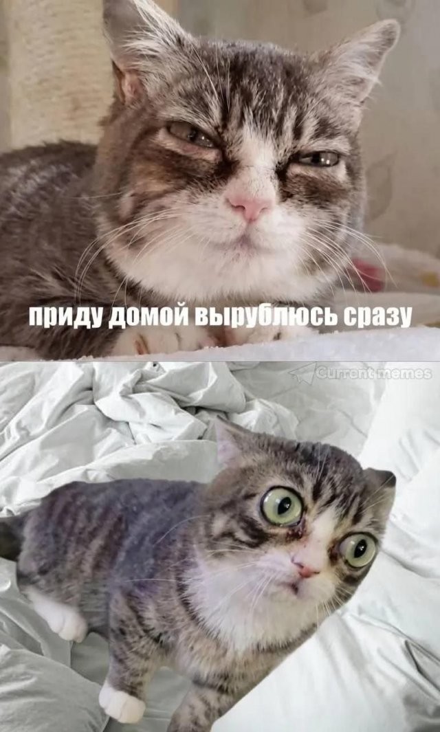Так себе картинки 05.07.26