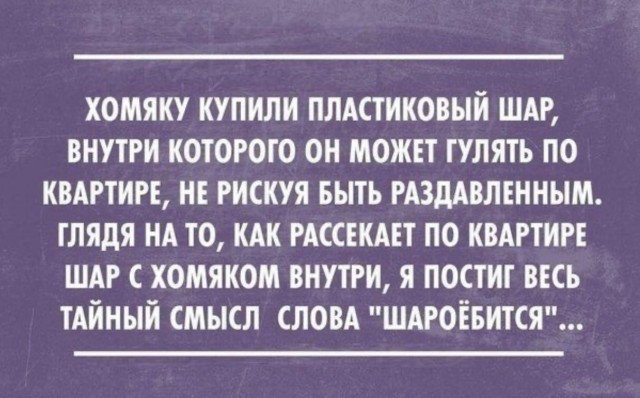 Веселые картинки в пятницу (18.09)