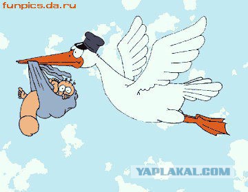 Мать шестерых детей родила тройню