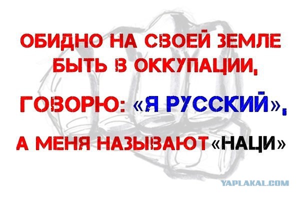 В чём сила, брат?