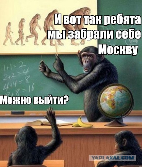 Москва 2020г