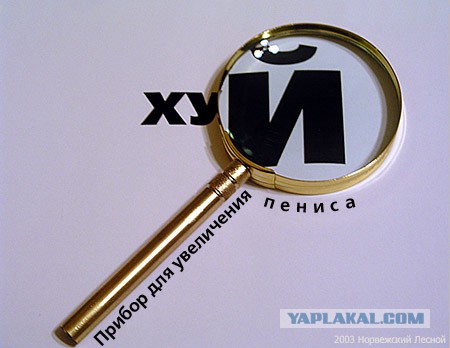 Смешные картинки из инета