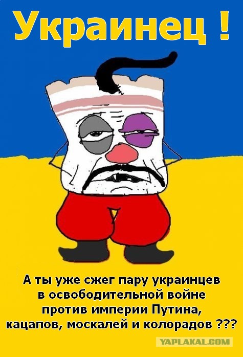 Комбат "Востока": силовики потеряли сотни человек