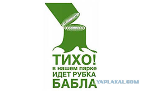 Когда вы плюсуeтe тему в платине