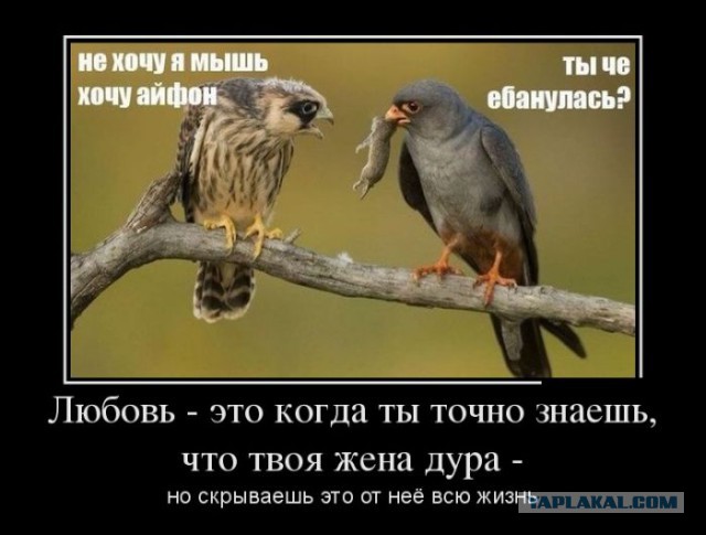 Демотиваторов пост