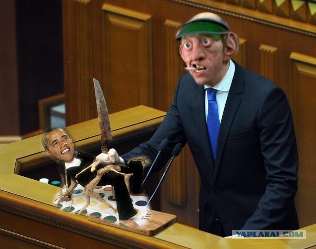 Жабы на яйценюха