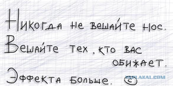 Картинки