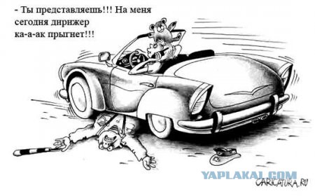 Весёлые картинки