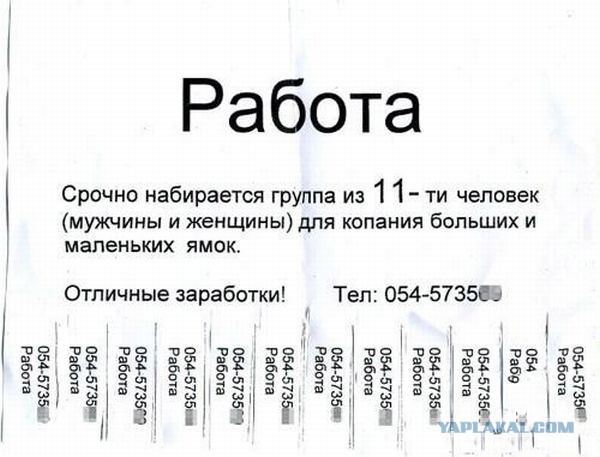Веселые картинки